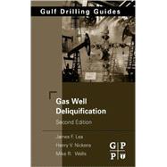 Gas Well Deliquification,9780750682800