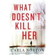 What Doesn't Kill Her A Novel