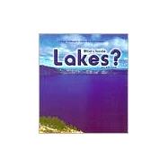 What's Inside Lakes?