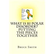 What Is Bi Polar Disorder?: Putting the Pieces Together