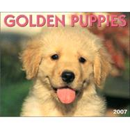 Golden Retriever Puppies 2007 Calendar