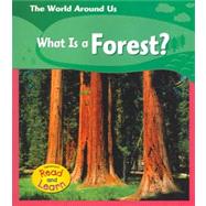 What Is A Forest?