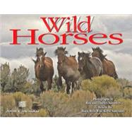 Wild Horses 2008 Calendar
