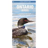 Ontario Birds A Folding Pocket Guide to Familiar Species