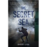 The Secret Sea