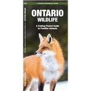 Ontario Wildlife A Folding Pocket Guide to Familiar Animals