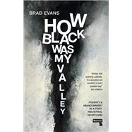 How Black Was My Valley Poverty and Abandonment in a Post-Industrial Heartland book cover, ISBN 9781913462840