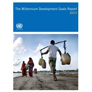 The Millennium Development Goals Report 2013