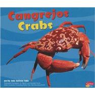 Cangrejos/ Crabs