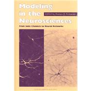 Modeling in the Neurosciences: From Ionic Channels to Neural Networks