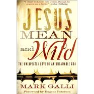 Jesus Mean and Wild : The Unexpected Love of an Untamable God