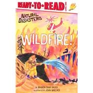Wildfire! Ready-to-Read Level 1