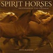 Spirit Horses 2010 Calendar