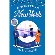 A Winter in New York A Novel