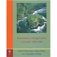 Excavations at Tintagel Castle, Cornwall, 1990-1999