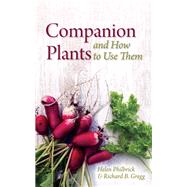 Companion Plants and How to Use Them