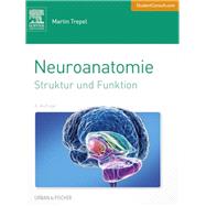 Neuroanatomie: Struktur und Funktion