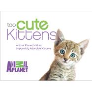 Too Cute Kittens Animal Planet's Most Impossibly Adorable Kittens