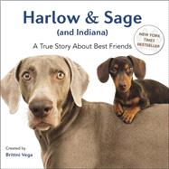 Harlow and Sage and Indiana