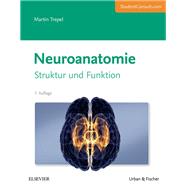 Neuroanatomie: Struktur und Funktion