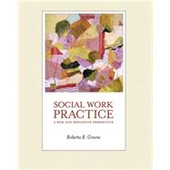 Social Work Practice A Risk and Resilience Perspective (with CD-ROM)