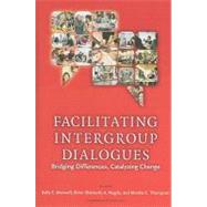 Facilitating Intergroup Dialogue