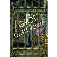 The Ghost in the Glass House