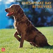 Chesapeake Bay Retrievers 2011 Calendar