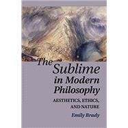 The Sublime in Modern Philosophy: Aesthetics, Ethics, and Nature