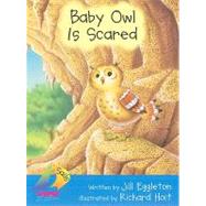 Baby Owl Is Scared
