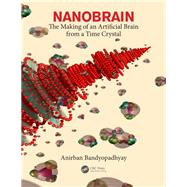 Nanobrain: Making an Intelligent Molecular Machine