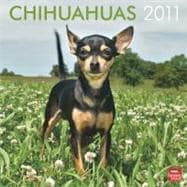 Chihuahuas 2011 Calendar