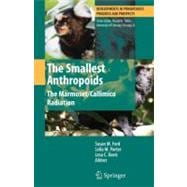 The Smallest Anthropoids