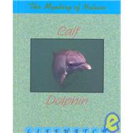 Calf to Dolphin