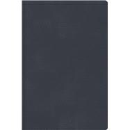 RVR 1960 Biblia Descubre tu fe, gris azulado, símil piel