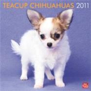 Teacup Chihuahuas 2011 Calendar