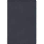 RVR 1960 Biblia Descubre tu fe, gris azulado, símil piel con índice