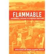 Flammable Environmental Suffering in an Argentine Shantytown