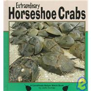 Extraordinary Horseshoe Crabs