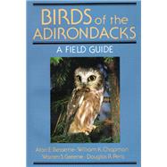 Birds Of The Adirondacks