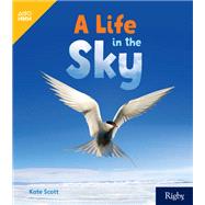 A Life in the Sky