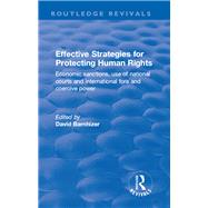 Effective Strategies for Protecting Human Rights: Economic Sanctions, Use of National Courts and International fora and Coercive Power