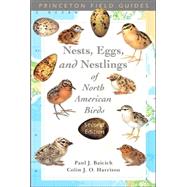 Nests, Eggs, And Nestlings Of North American Birds