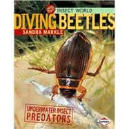 Diving Beetles