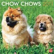 Chow Chows 2011 Calendar