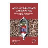 Advanced Biomass Gasification