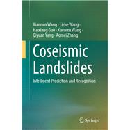Coseismic Landslides