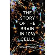 The Story of the Brain in 10½ Cells
