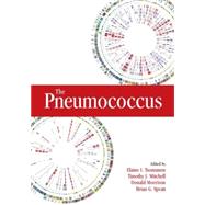 The Pneumococcus