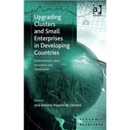 Upgrading Clusters and Small Enterprises in Developing Countries: Environmental, Labor, Innovation and Social Issues